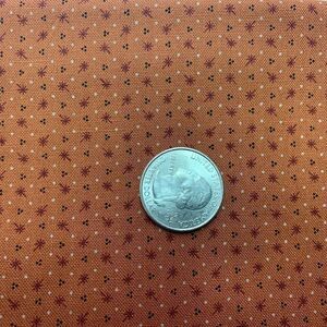 2 yards Quilting Fabric Prairie Dry Goods Sparkler Rust R1752
